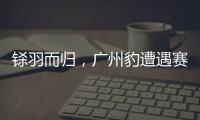 铩羽而归�，广州豹遭遇赛季第四败