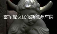 雷军提议优化新能源车牌设计	，网友	：期待个性化色彩样式