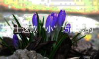 雷士这款“小”巧可爱的灯	，居然有“大”作用