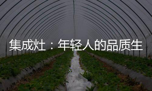 这就不是饭开问题啦
