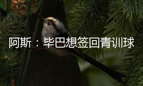 但他必须适应欧洲薪资标准