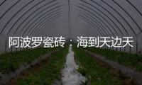 阿波罗瓷砖
：海到天边天作岸�，山登绝顶我为峰