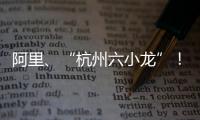 阿里、“杭州六小龙”	�！澳琴组团赴杭招商
，走访超20家知名企业