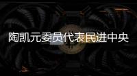 陶凯元委员代表民进中央发言
：呵护青少年心理健康助推健康中国建设