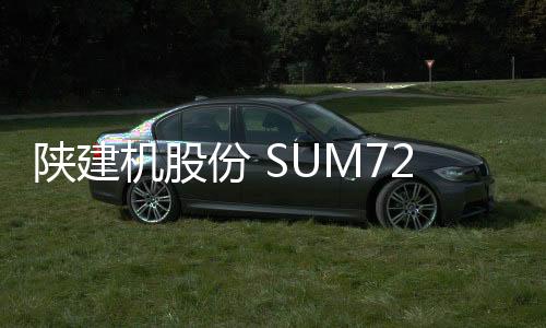其独特设计和精湛工艺