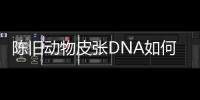 陈旧动物皮张DNA如何获取
？ 最新研究称改良方法值得推广