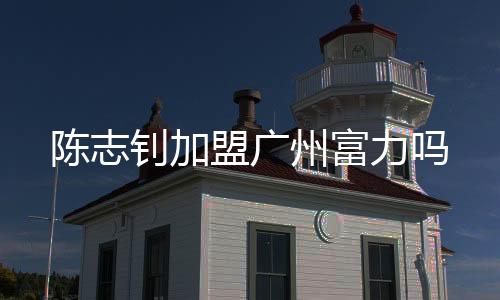 陈志可惜在御林军效力期间