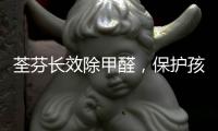 荃芬长效除甲醛，保护孩子健康成长!