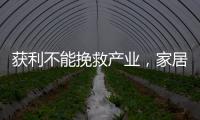 获利不能挽救产业，家居照明企业应加快技术改革