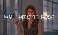 脱贫“中国标准”是怎样制定的
？ 下一步怎么走	
？