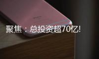 聚焦：总投资超70亿!三棵树�
、东方雨虹、富思特等项目被列为省重点项目