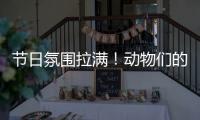 节日氛围拉满	
！动物们的专属“月饼”都是什么馅的	？