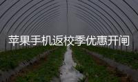 快排公司十年历程，霸屏兔 seo 的崛起与坚守