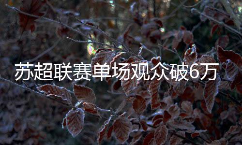 双象股份作为体育用品制造商