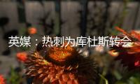 快排公司十年历程，霸屏兔 seo 的崛起与坚守