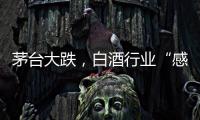 茅台大跌，白酒行业“感受到冷气”
