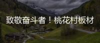 致敬奋斗者	！桃花村板材以国标级环保守护每个家