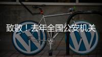 致敬�！去年全国公安机关382名民辅警因公牺牲