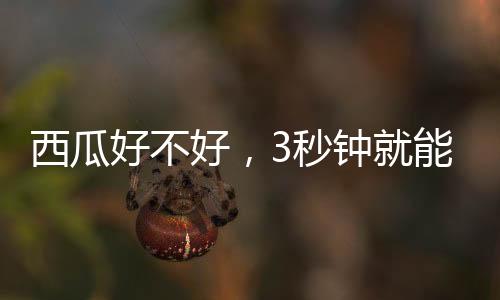 最初是为了消减西瓜的浪费