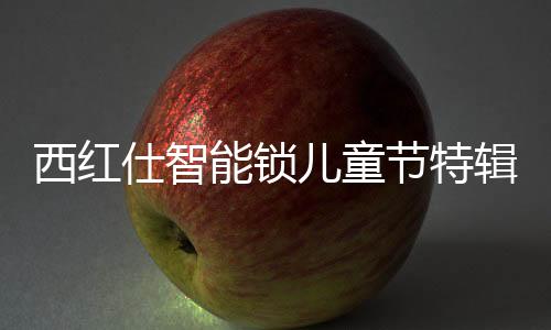 ID卡等多种解锁方式