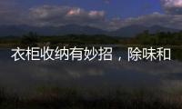 衣柜收纳有妙招，除味和保养也重要