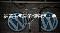 被黄牛包围的博物馆：免费预约标价50元�	，三星堆门票翻倍卖