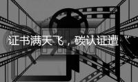 证书满天飞，碳认证遭“大扫除”