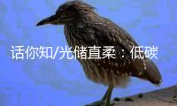 话你知/光储直柔：低碳建筑秘籍