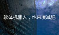 软体机器人
，也来凑减肥药的热闹了