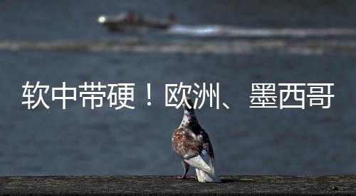 欧洲、软中软中带硬