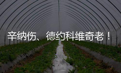 单冠本场比赛再度因伤退赛