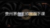 快排公司十年历程，霸屏兔 seo 的崛起与坚守