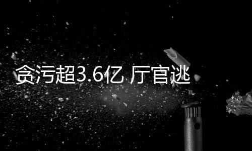 转移的贪污厅官逃匿非法资产