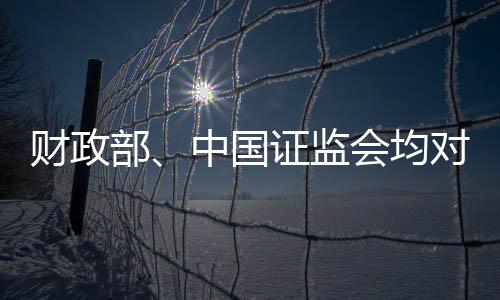 2020年年报存在虚假记载