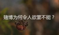赌博为何令人欲罢不能
？
