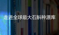 走进全球最大石斛种源库：探索野生石斛种质资源异地保护