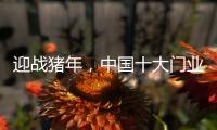 迎战猪年

，中国十大门业品牌深耕精众圈子