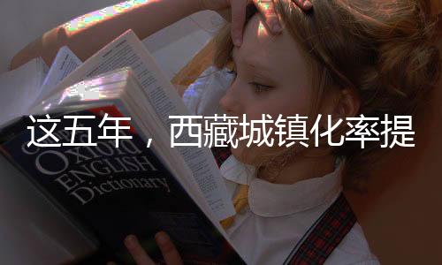 社区集体经济收益达4050万元