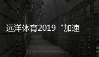 快排公司十年历程，霸屏兔 seo 的崛起与坚守
