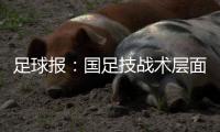 足球报：国足技战术层面和亚洲强队差距太大 腰无力困境更是无解