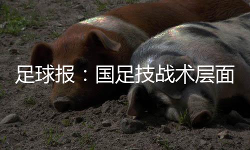 从球队的报国首战表现看