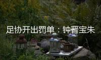 足协开出罚单：钟晋宝朱挺分别停赛5场3场
