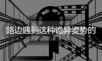 路边遇到这种诡异姿势的鸟	，别碰
！赶紧远离
！