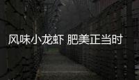 风味小龙虾 肥美正当时！珠海这家店赢得食客“正宗”认证