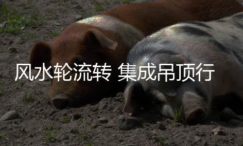 抗刮伤	、成吊美观度更高