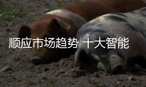 趋势才能实现发展变革