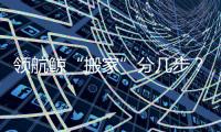 领航鲸“搬家”分几步？为啥要抹凡士林？