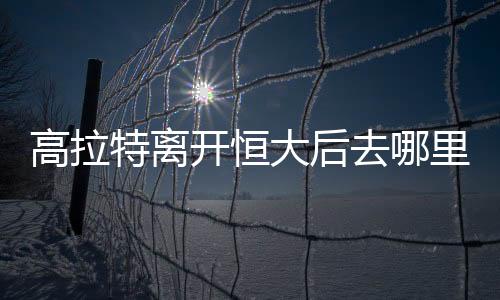 由于今年是高拉世界杯年