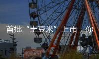 快排公司十年历程，霸屏兔 seo 的崛起与坚守