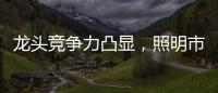 龙头竞争力凸显，照明市场竞争格局高度分散，流量竞争日趋激烈